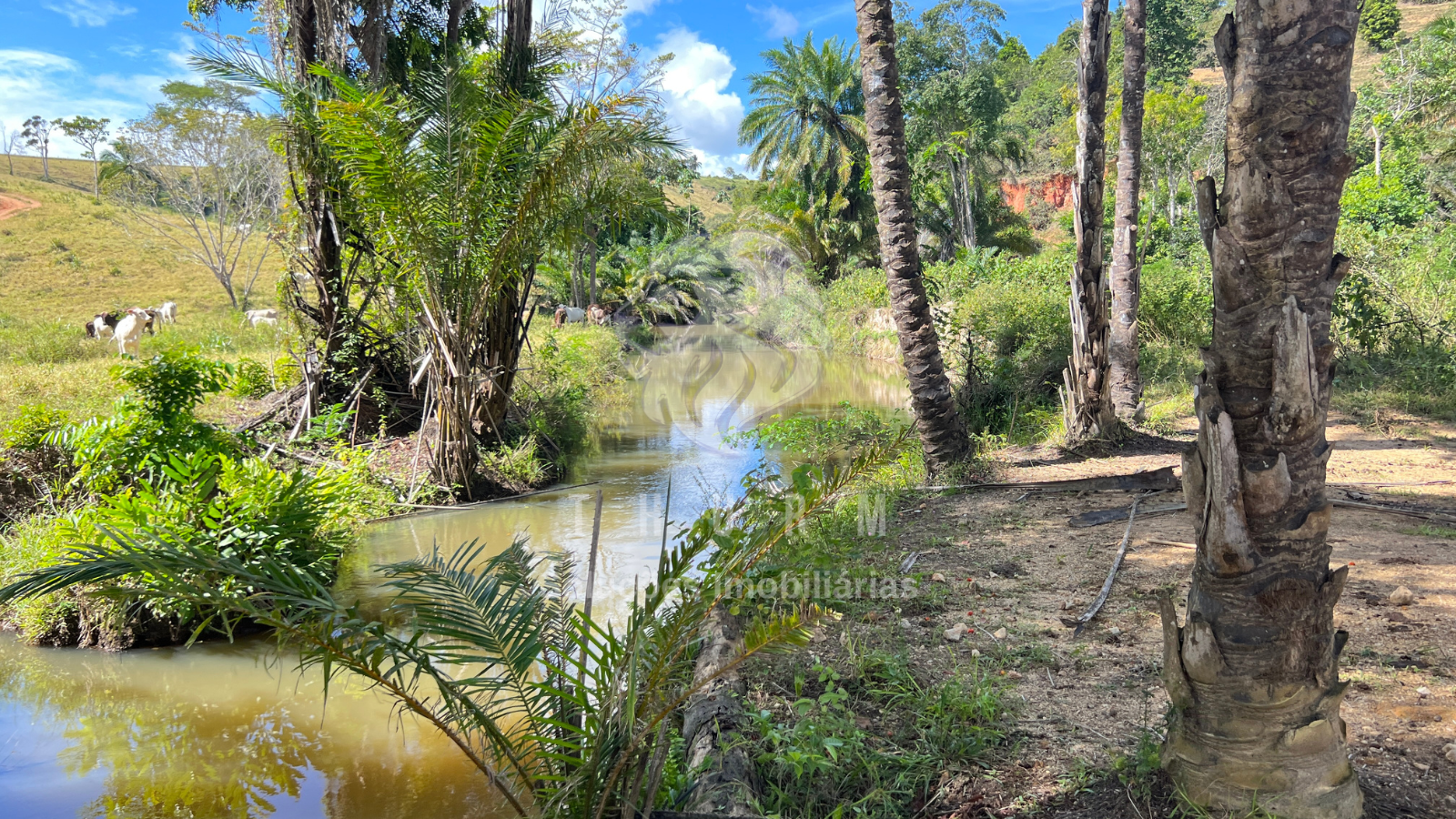 Fazenda a venda em Itamaraju